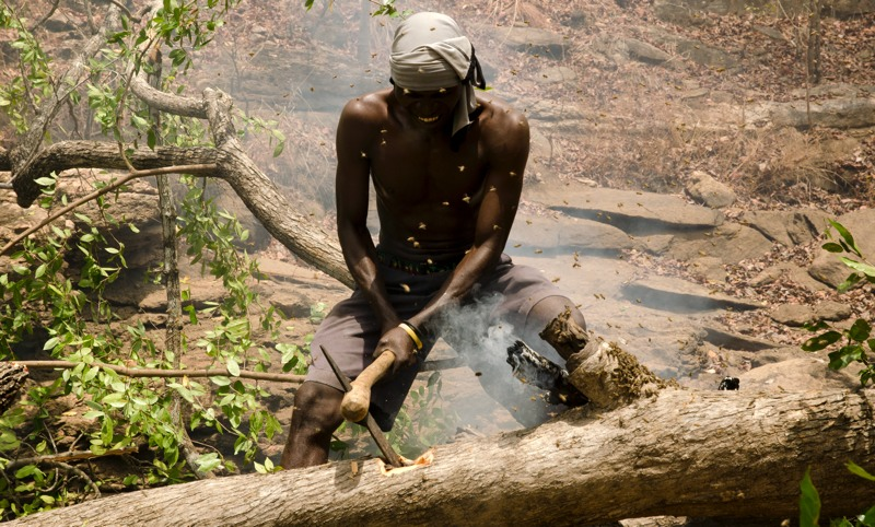 Yassene chops open a bees’ nest in a felled tree in the Niassa National Reserve, Mozambique.
